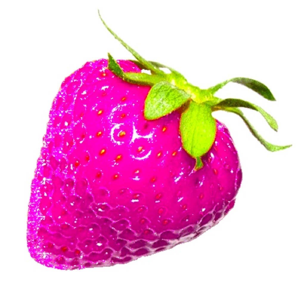 Meet your Posher, Yolandi